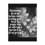 BIBLE SCRIPTURE GALATIANS 6:9 postcards