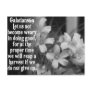 BIBLE SCRIPTURE GALATIANS 6:9 POSTCARDS