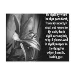 BIBLE SCRIPTURE ISAIAH 55:11 POST CARDS