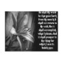 BIBLE SCRIPTURE ISAIAH 55:11 POST CARDS