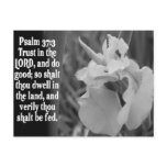BIBLE SCRIPTURE PSALM 37:3 TRUST THE LORD