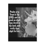 BIBLE SCRIPTURE PSALM 37:3 TRUST THE LORD
