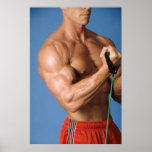Bicep Curl Poster - Colour #210