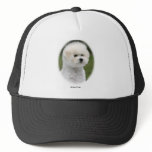 Bichon 9Y362D-058 Hats