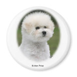 Bichon 9Y362D-058 Fridge Magnets