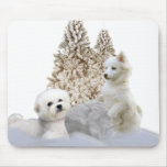 Bichon  & American Eskimo Snow play mousepads