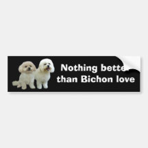 Bichon Buddies Bumper Sticker