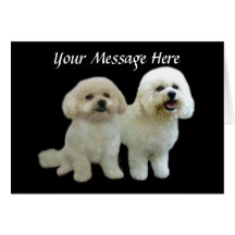Bichon Buddies Greeting Card