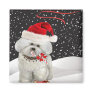 Bichon Enjoying Christmas Magnets