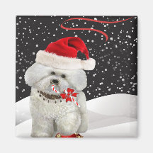 Bichon Enjoying Christmas Magnets