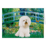 Bichon Frise 1 - Bridge Greeting Cards