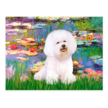 Bichon Frise 1 - Lilies 2 Post Card