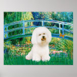Bichon Frise 1 - Lily Pond Bridge Bridge Posters