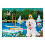 Bichon Frise 1 - Sailboats 1 Greeting Cards