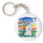 Bichon Frise 1 - Sun Glow