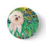 Bichon Frise 4  - Irises Button