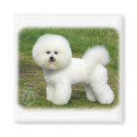 Bichon Frise 9A063D-05 Refrigerator Magnet
