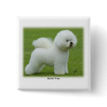 Bichon Frise 9F85D-15 Buttons