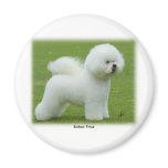 Bichon Frise 9F85D-15 Fridge Magnets