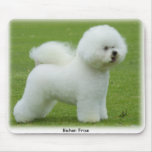 Bichon Frise 9F85D-15 Mouse Pads