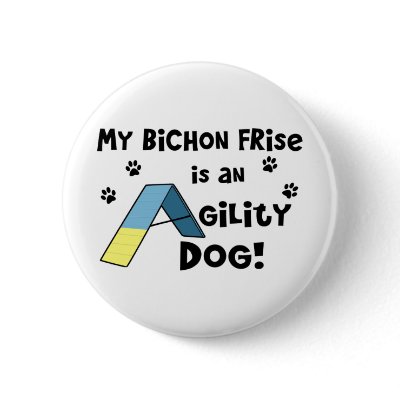 Bichon Frise Agility Dog Pinback Button by MenagerieMayhem