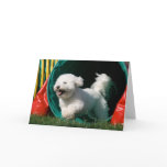 "Bichon Frise Agility" Photo Greeting Card