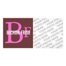 Bichon Frise Breed Monogram Design Personalized Photo Card
