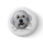 Bichon Frise Busting Out Pin