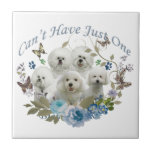 Bichon Frise Can't Have Just One Tiles