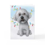 Bichon Frise Christmas