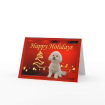 Bichon Frise Christmas Card Stars
