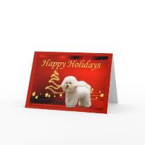 Bichon Frise Christmas Card Stars