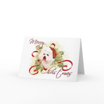 Bichon Frise Christmas Cards