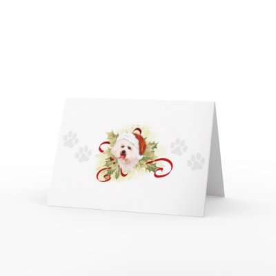 Bichon Frise Christmas Cards by jaisjewels