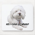 Bichon Frise Dog mousepads