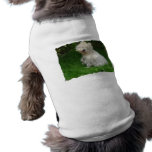 Bichon Frise Dog Shirt