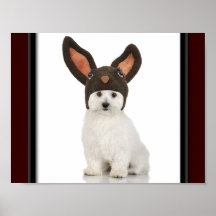 Bichon Frise Doggy With Bunny Hat Posters