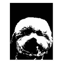 Bichon Frise Gifts - Postcard