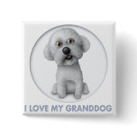 Bichon Frise Granddog Button