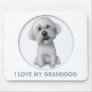Bichon Frise Granddog