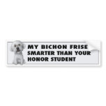 Bichon Frise Honour