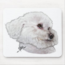 Bichon Frise in Deep Thought