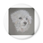 Bichon Frise Magnet
