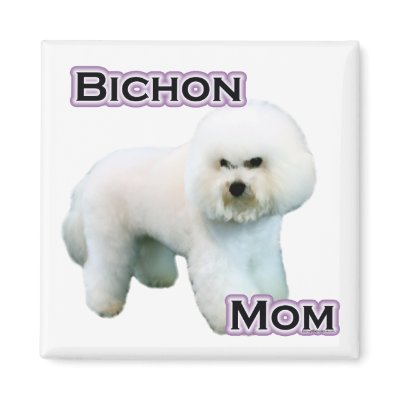 Bichon Frise Mum 4  - Magnet by GreyWolfCreation