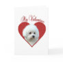 Bichon Frise My Valentine Greeting Card