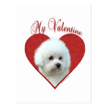Bichon Frise My Valentine Post Cards