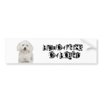 Bichon Frise on Board