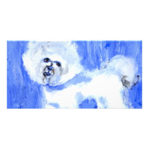 Bichon Frise Photo Greeting Card