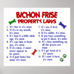 BICHON FRISE PL2