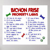 BICHON FRISE PL2